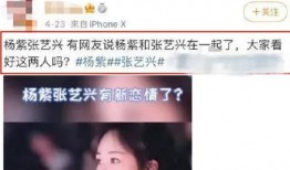 杨紫最新新闻八卦爆料,神秘男友身份引网友热议
