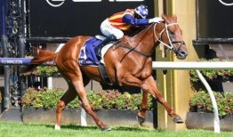 四川马小姐最新爆料,揭秘事件背后惊人真相